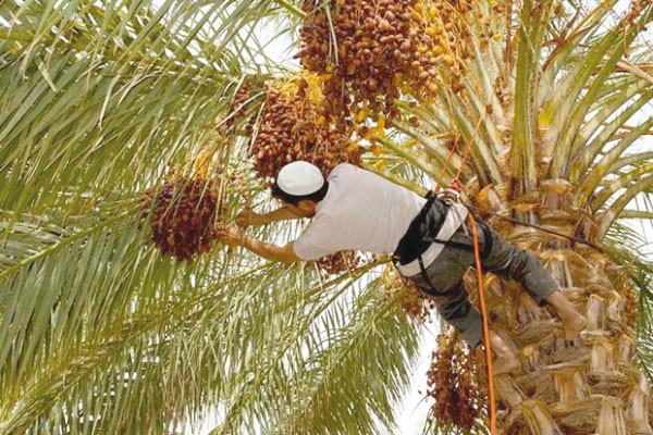 Pour une production de qualité