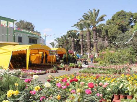 Floralies d'Oran : 78 exposants pour la 5ème édition
