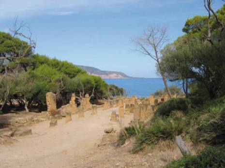 le pillage du patrimoine archéologique prend de l'ampleur