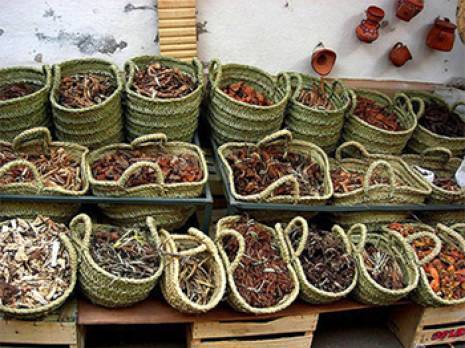 Santé : plus de 60 cas d'intoxication par les herbes depuis janvier