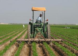 عشرات الفلاّحين بمزيرعة ببسكرة يتعرضون لاعتداءت بالأسلحة البيضاء