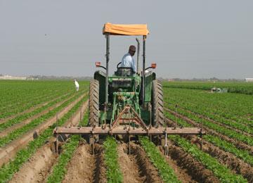 عشرات الفلاّحين بمزيرعة ببسكرة يتعرضون لاعتداءت بالأسلحة البيضاء