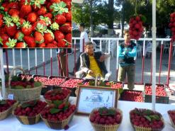 إنتاج الفراولة تجاوز 23 ألف قنطار بسكيكدة خلال الموسم الجاري