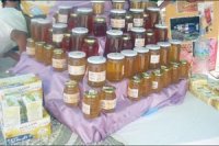 Production record de 4.910 q de miel