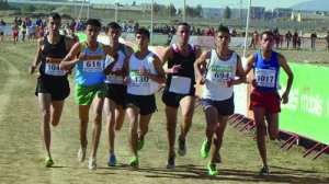 Fédération algérienne d'athlétisme
