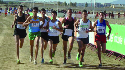 Fédération algérienne d'athlétisme