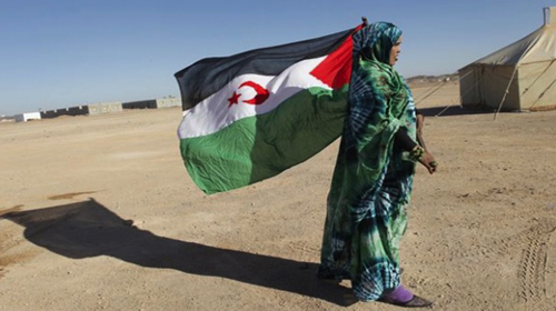 Protection des droits de l'homme au Sahara occidental occupé