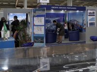 Une soixantaine d'opérateurs au rendez-vous