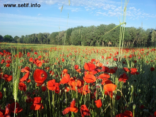 Virée dans la vallée du Boussellam.