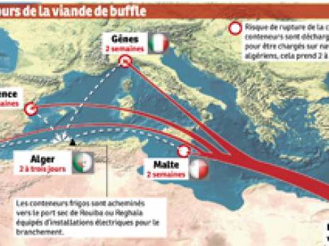 Ramadhan : ce que vous devez savoir sur la viande importée d'Inde