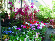 Première édition en juin prochain