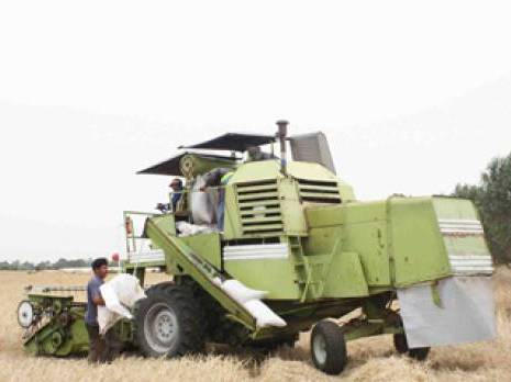 La Direction de l'agriculture prévoit des moissons record