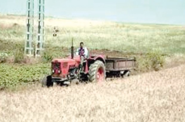Les agriculteurs interpellent les autorités compétentes à Tébessa
