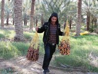 La deglet nour a son label