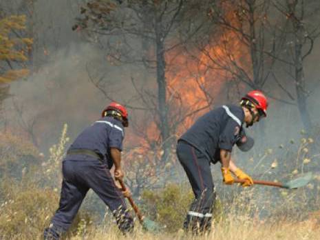Aïn Defla : la Protection civile sensibilise contre les feux de récolte