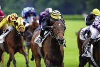 L'ECURIE A. HAMIANE EN FORCE