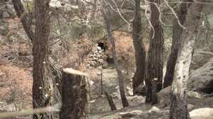 اكتشاف معسكر كبير لتدريب الإرهابيين في جندوبة بتونس