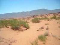 Désertification : atelier d'information pour des journalistes spécialisés africains mardi à Alger