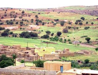 غياب الوعاء العقاري يعيق مشاريع الاستثمار في ولاية المدية