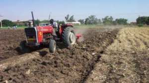 سيدي بلعباس