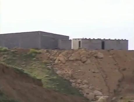 Homo Habilis vous appelle !