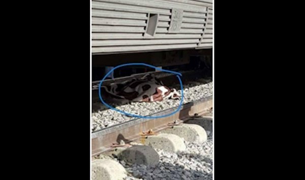 قطار يدهس فتاة بالعلمة في سطيف