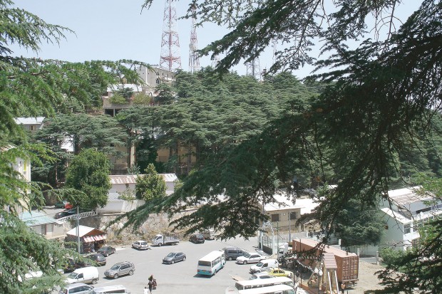 Un conseil de wilaya pour dynamiser la commune de Chréa