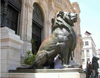 Des élus locaux font leur mea-culpa