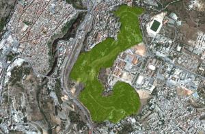 Oiseaux observés et photographiés dans la forêt du Mansourah avant le lancement du projet du pont géant