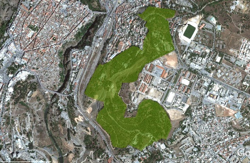 Oiseaux observés et photographiés dans la forêt du Mansourah avant le lancement du projet du pont géant