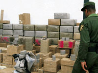 كانت مخبأة في 120 كيس على جانب إحدى طرقات النعامة.. إحباط محاولة إغراق المدن الداخلية ب30 قنطارا من المخدرات