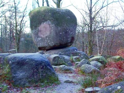 Une longue histoire et d'innombrables usages