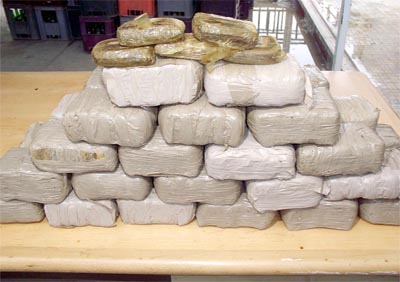 Trois narcotrafiquants arrêtés et 30 quintaux de kif saisis