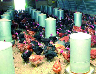 Le gaz propane recommandé