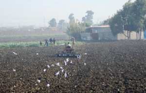 سكان دواري أولاد عدة وأولاد لحمر بغليزان يطالبون بمزيد من الدعم الفلاحي