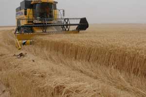 ندرة المازوت وغلائه يهددان عشرات الهكتارات في الشكشاك بالوادي