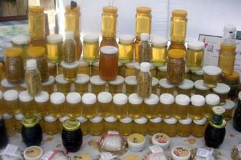 une foire en miel à tizi-ouzou