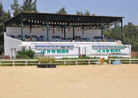 Club hippique de la Mitidja Blida