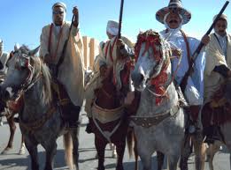 خيول الأغواط … تختبئ لتموت