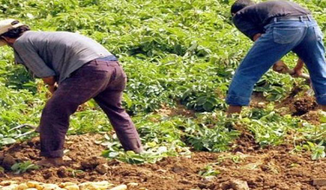 التنمية الريفية شبه غائبة ببجاية