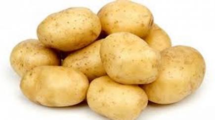 البطاطا ب 200 دج بتمنراست