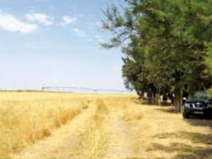 Restauration de la steppe algérienne: Une bataille contre la dégradation de 32 millions d'hectares