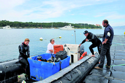 Généralisation de la période biologique