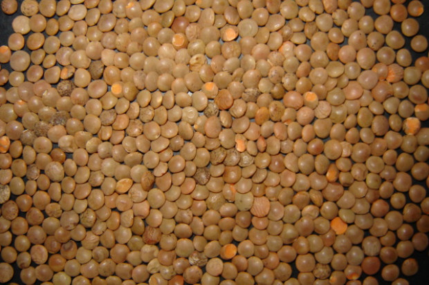 Ces aliments surprenants qui aident à combattre l'anémie