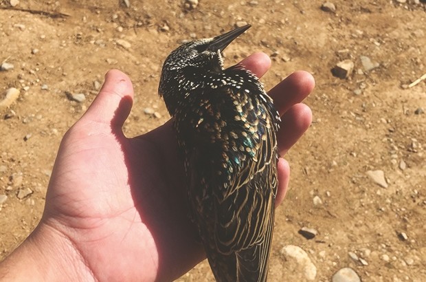 Un loisir... lucratif