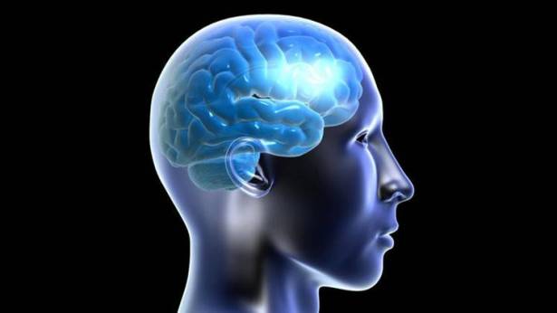 الجزء المسؤول عن التعرف على الوجوه في الدماغ يواصل النمو لدى الكبار