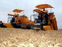 M. Benaïssa donne à Mendes (Relizane) le coup d'envoi de la campagne nationale moissons-battage