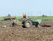 Une production record attendue