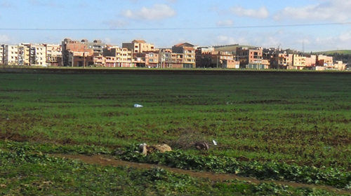Surenchère et spéculation persistent