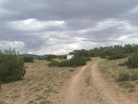 El Gueddid (Djelfa), un combat perpétuel contre la désertification